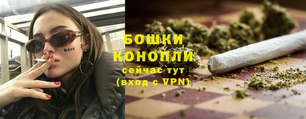 прущие грибы Арсеньев